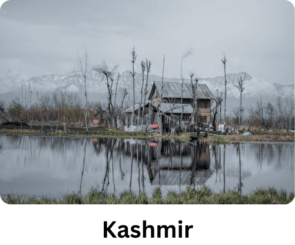 Kashmir 